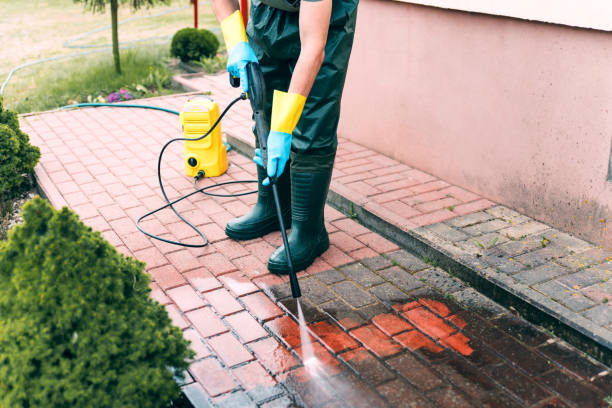 Best Soft Washing  in Meadowbrook, VA
